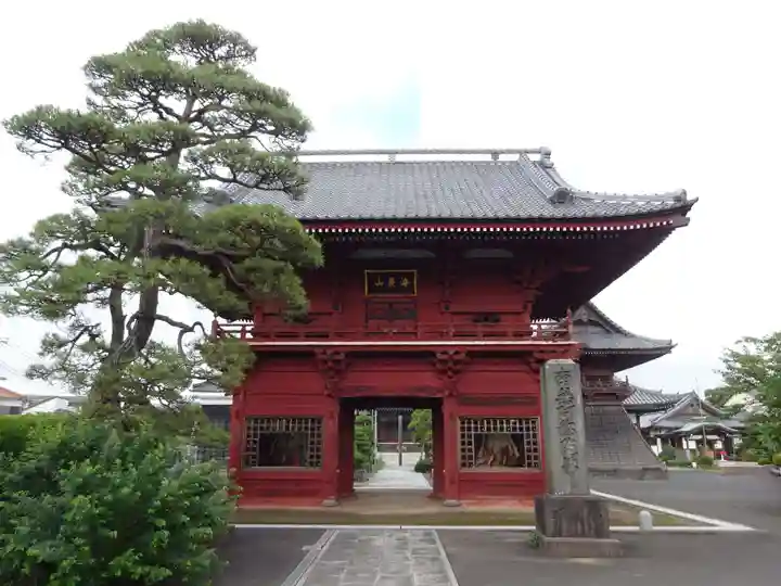 徳願寺の山門・神門