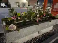 生田神社の{uncategorized: "未分類", other: "その他", undefined: "問題あり", building: "その他建物", grave: "お墓", sacred_gate: "鳥居", guardian: "狛犬", statue: "像", buddha: "仏像", history: "歴史", nature: "自然", garden: "庭園", animal: "動物", pagoda: "塔", temizu: "手水舎", mountain_gate: "山門・神門", sanctuary: "本殿・本堂", subordinate: "末社・摂社", art: "芸術", scenery: "景色", jizo: "地蔵", ema: "絵馬", goshuin: "御朱印", omikuji: "おみくじ", items: "授与品その他", amulet: "お守り", goshuincho: "御朱印帳", eats: "食事", festival: "お祭り", votive_dance: "神楽", shichigosan: "七五三参", wedding: "結婚式", experience: "体験その他", initially: "初詣", around: "周辺", anti_infection: "感染症対策"}