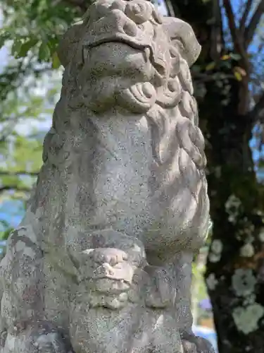 北東本宮小室浅間神社の狛犬