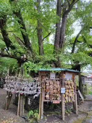 伊那下神社(静岡県)
