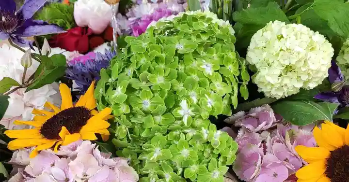 勝林寺の手水舎