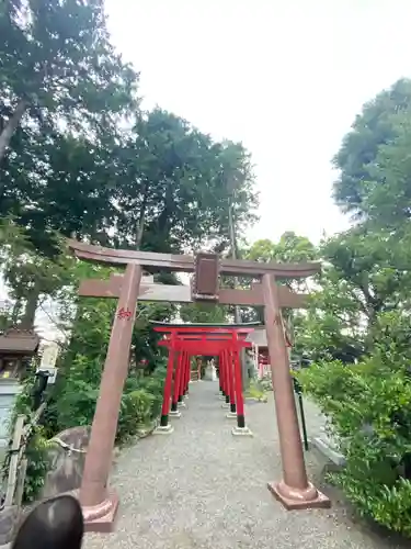 亀ケ池八幡宮の鳥居