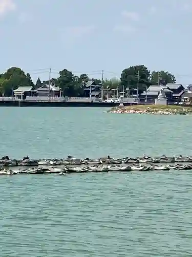 国安天満神社(兵庫県)