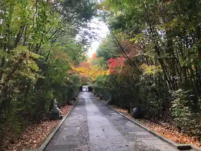 輪王寺(宮城県)