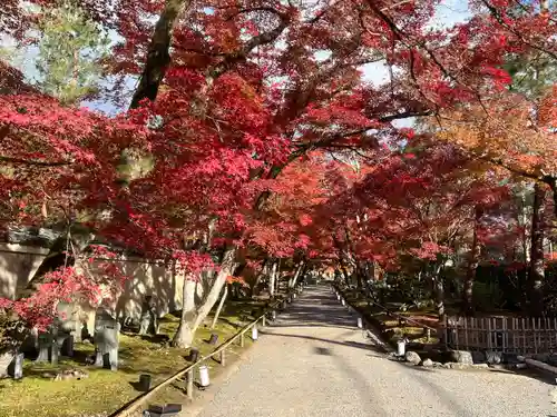 宝厳院(京都府)