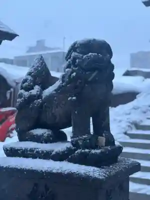札幌諏訪神社の狛犬
