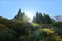 髙龍神社 中社(新潟県)