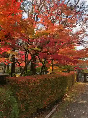 禅林寺（永観堂）の自然