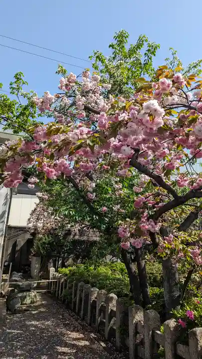 六孫王神社(京都府)