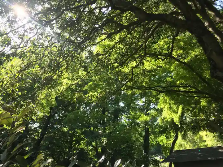 武蔵国分寺の自然