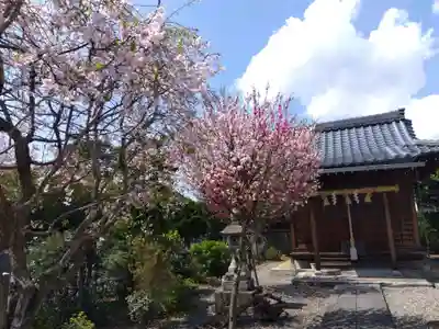 總社 和田八幡宮(福井県)
