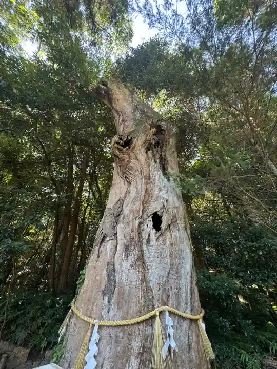 大山祇神社(愛媛県)