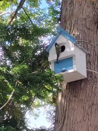 森三吉神社(北海道)