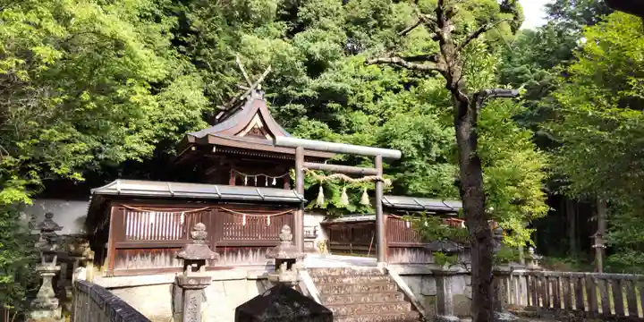 伊射奈岐神社(奈良県)