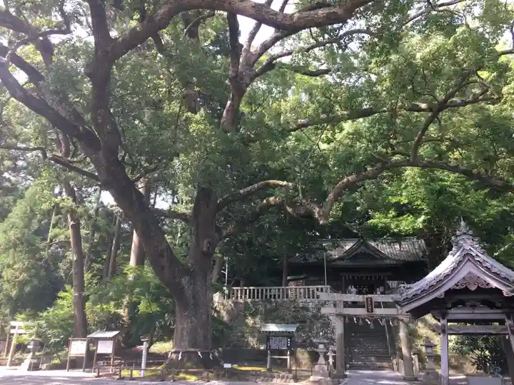 事任八幡宮の自然