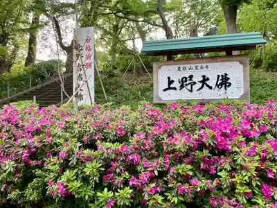 上野大佛(東京都)