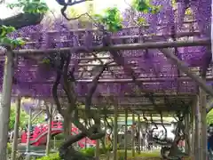 亀戸天神社の庭園