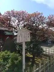 西新井大師総持寺(東京都)