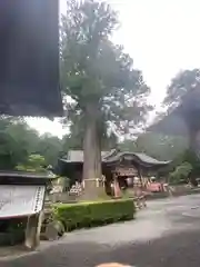 北口本宮冨士浅間神社(山梨県)