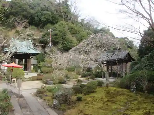 海蔵寺の景色