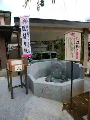 川越八幡宮(埼玉県)