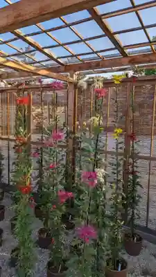 大覚寺(京都府)