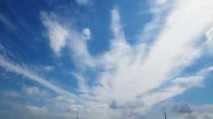 白山社(井堀)の景色