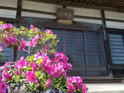 大円寺(愛知県)