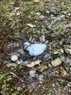 蚊里田八幡宮の{uncategorized: "未分類", other: "その他", undefined: "問題あり", building: "その他建物", grave: "お墓", sacred_gate: "鳥居", guardian: "狛犬", statue: "像", buddha: "仏像", history: "歴史", nature: "自然", garden: "庭園", animal: "動物", pagoda: "塔", temizu: "手水舎", mountain_gate: "山門・神門", sanctuary: "本殿・本堂", subordinate: "末社・摂社", art: "芸術", scenery: "景色", jizo: "地蔵", ema: "絵馬", goshuin: "御朱印", omikuji: "おみくじ", items: "授与品その他", amulet: "お守り", goshuincho: "御朱印帳", eats: "食事", festival: "お祭り", votive_dance: "神楽", shichigosan: "七五三参", wedding: "結婚式", experience: "体験その他", initially: "初詣", around: "周辺", anti_infection: "感染症対策"}
