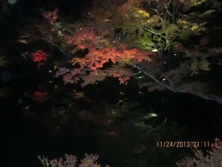 高台寺(高台寿聖禅寺・高臺寺)の自然