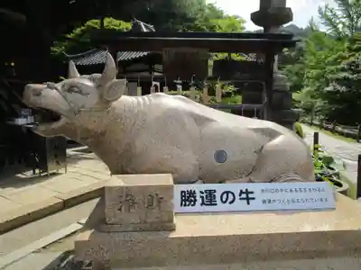 三室戸寺(京都府)