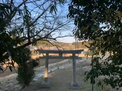 諏訪神社の鳥居