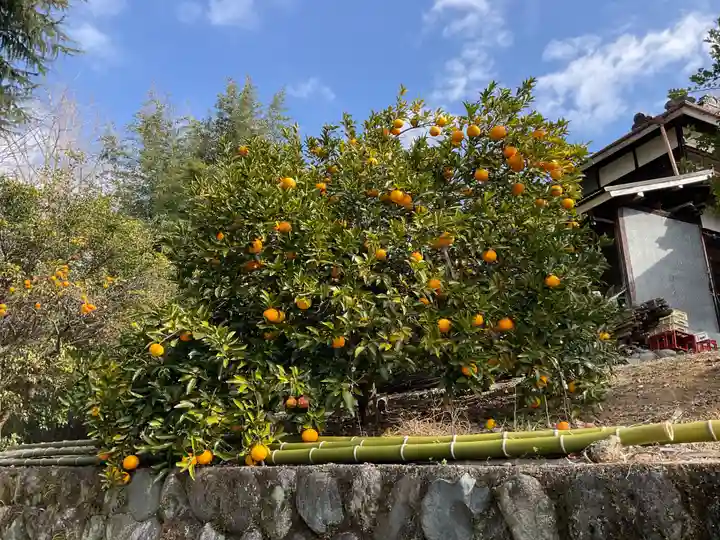 法輪寺(神奈川県)
