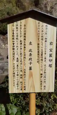 安養院　(田代寺）(神奈川県)