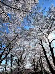 子檀嶺神社(長野県)