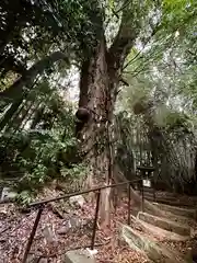 姫大神社(奈良県)