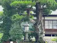 真教寺(京都府)