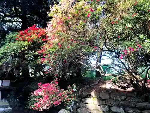 須佐能袁神社の庭園