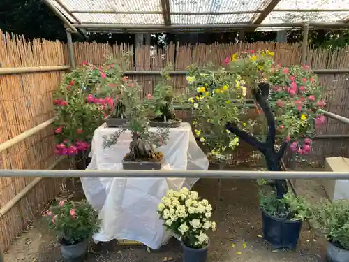 大生郷天満宮(茨城県)