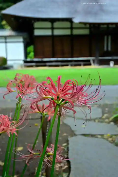 横浜 西方寺(神奈川県)