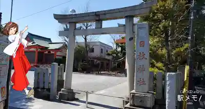 日枝神社の鳥居
