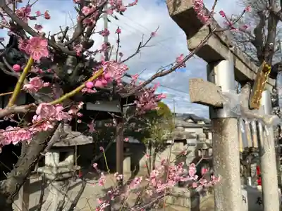 天満宮(京都府)