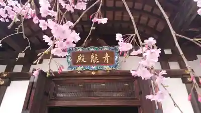 将軍塚青龍殿（青蓮院門跡）のその他建物