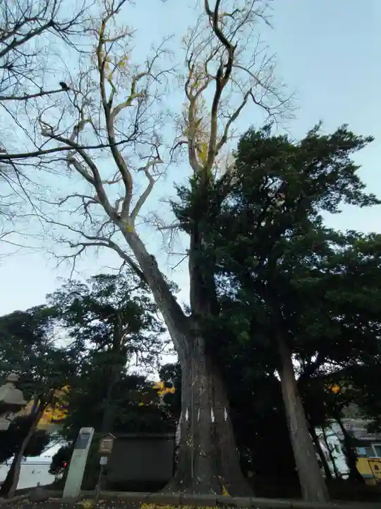 五霊神社の自然