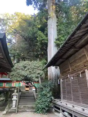 都祁水分神社(奈良県)