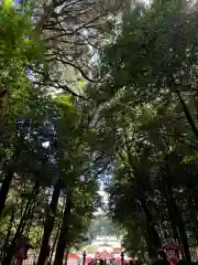 霧島神宮(鹿児島県)