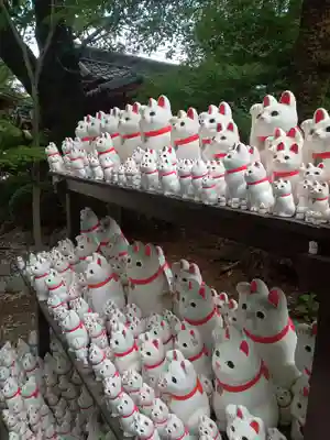 豪徳寺の授与品その他