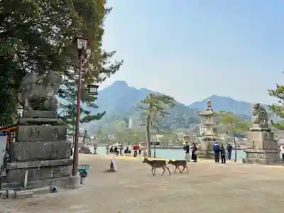 厳島神社(広島県)