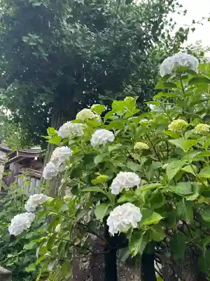 粟井神社(香川県)