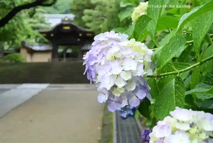 円覚寺(神奈川県)